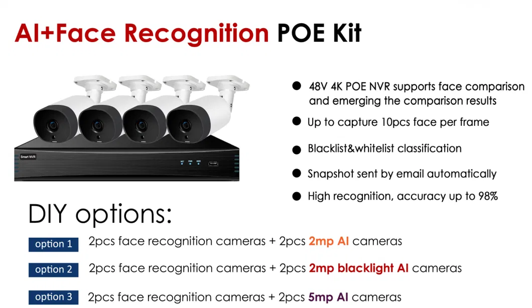 CCTV IP Camera DVR NVR Recorder Kit Face Recognition System