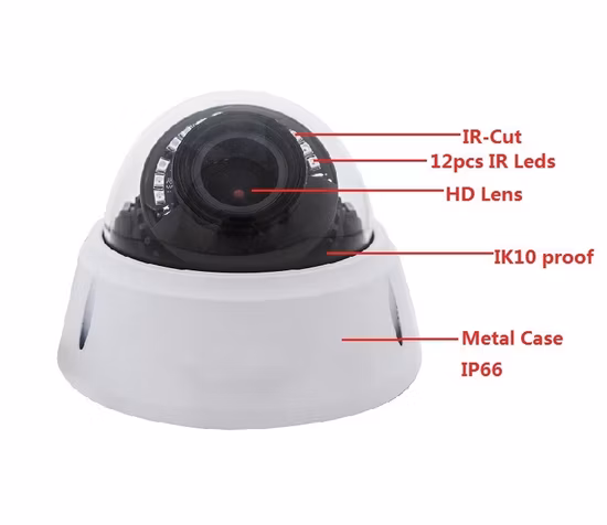 Tiandy HD 2MP 1080P Poe IR 30m ナイトビジョン防水タレットホーム IP セキュリティ CCTV ドームカメラ